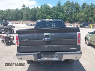 2011 Ford F-150 XL with VIN 1FTFX1EF4BFA98684, listed as a IAAI auction lot 42561624 with 163,066 mi miles and . Bid and sale history available at DreamBid. Image 16.