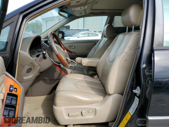 2002 Lexus RX 300 with VIN JTJGF10U320122115, listed as a Copart auction lot 53719235 with 252,955 mi miles and Salvage Title. Bid and sale history available at DreamBid. Image 7.