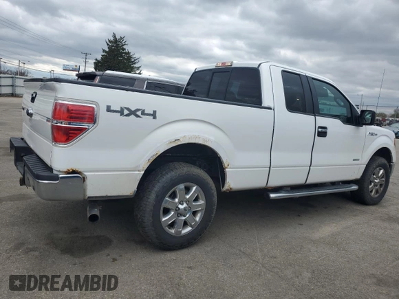 2013 Ford F-150 XL with VIN 1FTFX1ET4DFD31973, listed as a Copart auction lot 53285255 with 201,594 mi miles and Clean title. Bid and sale history available at DreamBid. Image 3.