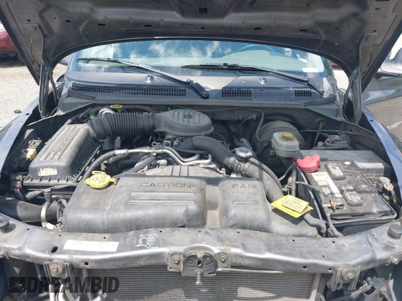 2001 Dodge Dakota with VIN 1B7HL2AX01S338909, listed as a IAAI auction lot 42639655 with 111,858 mi miles and . Bid and sale history available at DreamBid. Image 10.