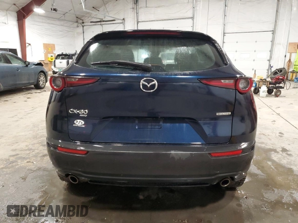 2020 Mazda CX-30 with VIN 3MVDMBBL0LM114783, listed as a Copart auction lot 50521185 with 48,769 mi miles and Salvage Title. Bid and sale history available at DreamBid. Image 6.