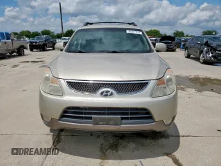 2009 Hyundai Veracruz GLS with VIN KM8NU13C39U079932, listed as a Copart auction lot 64677215 with 246,722 mi miles and Clean title. Bid and sale history available at DreamBid. Image 5.