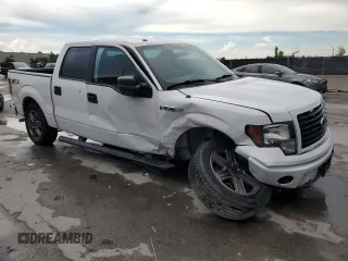 2014 Ford F-150 XL with VIN 1FTEW1CM3EFA86157, listed as a Copart auction lot 61084245 with 416,688 mi miles and Salvage title. Bid and sale history available at DreamBid. Image 4.