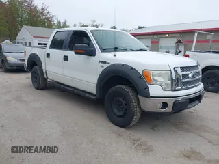 2009 Ford F-150 XL z VIN 1FTRW14829FA40294, wystawiony jako IAAI lot #42276909 z przebiegiem 241 635 mil mil oraz . Historia ofert i sprzedaży dostępna na DreamBid. Obrazek 1.