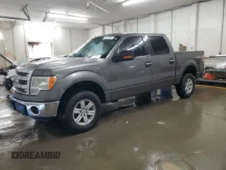 2014 Ford F-150 XL with VIN 1FTFW1EF0EFB55602, listed as a Copart auction lot 50019825 with 0 mi miles and Salvage Title. Bid and sale history available at carsss.com. Image 1.