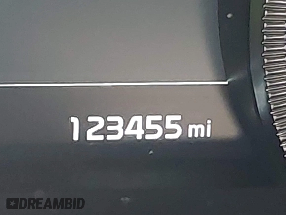 2020 Kia Telluride SX with VIN 5XYP5DHC9LG028738, listed as a IAAI auction lot 41577464 with 123,455 mi miles and . Bid and sale history available at DreamBid. Image 15.