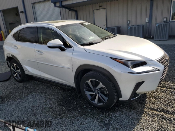 2018 Lexus NX 300h with VIN JTJBJRBZ4J2095848, listed as a Copart auction lot 51179865 with 93,053 mi miles and Salvage title. Bid and sale history available at DreamBid. Image 4.