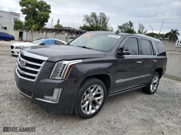 2017 Cadillac Escalade Premium Luxury with VIN 1GYS3CKJ2HR252132, listed as a Copart auction lot 86331604 with 0 mi miles and Salvage Title. Bid and sale history available at carsss.com. Image 1.