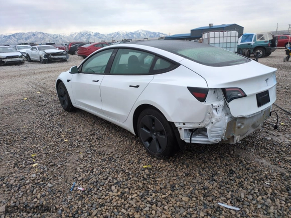 2023 Tesla Model 3 with VIN 5YJ3E1EA2PF665029, listed as a Copart auction lot 49822915 with 35,714 mi miles and Salvage Title. Bid and sale history available at carsss.com. Image 2.
