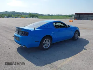 2014 Ford Mustang V6 с VIN 1ZVBP8AM5E5250006, выставлен на аукционе IAAI как лот 42253136 с пробегом Не указан миль и . История ставок и продаж доступна на DreamBid. Изображение 4.