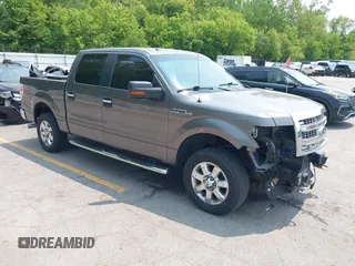 2014 Ford F-150 XL with VIN 1FTFW1EF0EFA88208, listed as a IAAI auction lot 42405046 with 246,198 mi miles and . Bid and sale history available at DreamBid. Image 1.