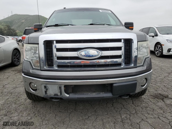 2009 Ford F-150 XL with VIN 1FTRW14839KC95513, listed as a Copart auction lot 50800005 with 220,571 mi miles and Clean Title. Bid and sale history available at carsss.com. Image 5.