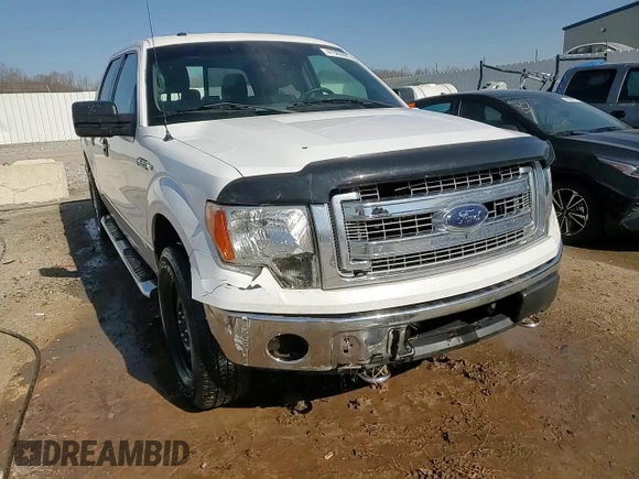 2013 Ford F-150 XL with VIN 1FTFW1EF0DFA71889, listed as a Copart auction lot 47989605 with 282,091 mi miles and Salvage Title. Bid and sale history available at carsss.com. Image 14.