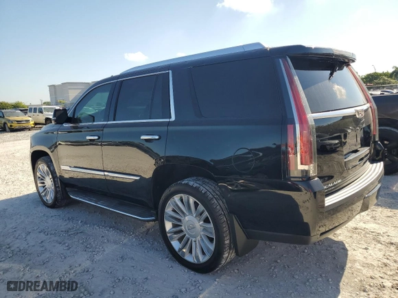 2016 Cadillac Escalade Luxury Collection with VIN 1GYS4BKJ6GR249014, listed as a Copart auction lot 53201765 with 116,444 mi miles and Clean Title. Bid and sale history available at carsss.com. Image 2.