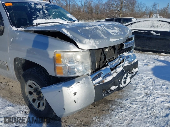 2010 Chevrolet Silverado 1500 LS with VIN 1GCSCREA8AZ275862, listed as a IAAI auction lot 41621090 with 280,598 mi miles. Bid and sale history available at carsss.com. Image 18.