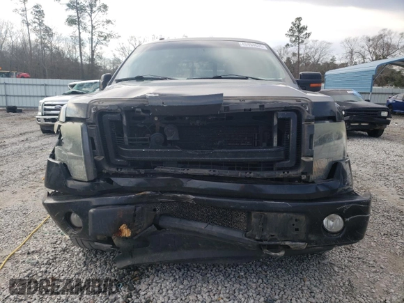 2013 Ford F-150 XL with VIN 1FTFW1ET6DKF08260, listed as a Copart auction lot 42494635 with 252,331 mi miles and Salvage Title. Bid and sale history available at carsss.com. Image 5.