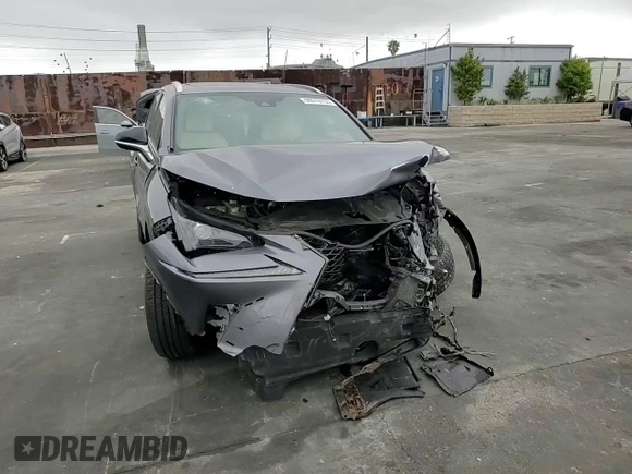 2021 Lexus NX 300 F Sport с VIN JTJSARBZ7M2188657, выставлен на аукционе Copart как лот 56019735 с пробегом Не указан миль и Списание • Salvage title. История ставок и продаж доступна на DreamBid. Изображение 14.