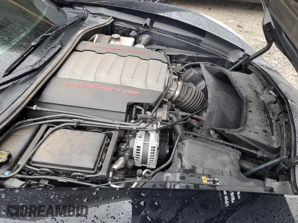 2019 Chevrolet Corvette Grand Sport 1LT with VIN 1G1YW2D76K5120176, listed as a Copart auction lot 42632144 with 54,099 mi miles and Clean title. Bid and sale history available at DreamBid. Image 13.