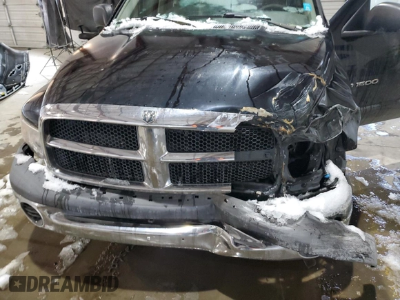 2002 Dodge 1500 with VIN 1D7HA16K52J247726, listed as a Copart auction lot 86604754 with Not Provided miles and Salvage Title. Bid and sale history available at DreamBid. Image 12.