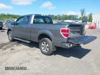 2013 Ford F-150 XL with VIN 1FTEX1EM9DFC99848, listed as a IAAI auction lot 42297022 with 175,466 mi miles and . Bid and sale history available at DreamBid. Image 3.