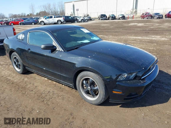2013 Ford Mustang V6 with VIN 1ZVBP8AM3D5235860, listed as a IAAI auction lot 41778077 with 163,671 mi miles and . Bid and sale history available at DreamBid. Image 1.
