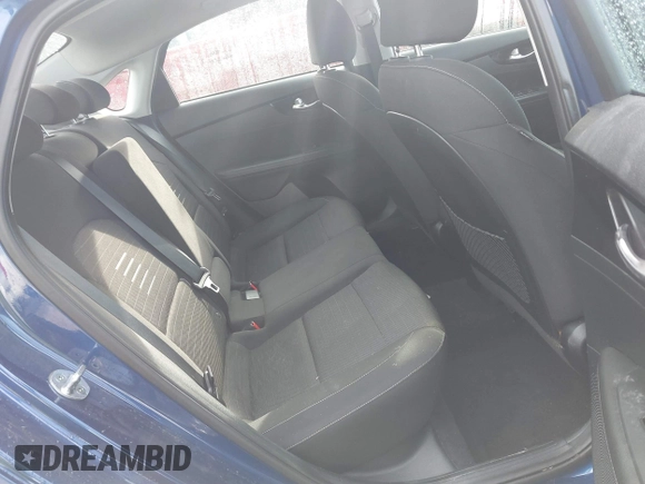 2019 Kia Forte S with VIN 3KPF34AD1KE039765, listed as a IAAI auction lot 41710098 with 119,652 mi miles. Bid and sale history available at carsss.com. Image 8.