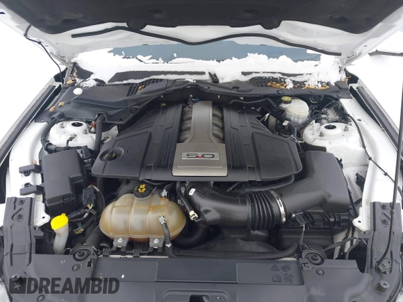 2019 Ford Mustang GT with VIN 1FA6P8CFXK5195668, listed as a IAAI auction lot 41247123 with 83,514 mi miles. Bid and sale history available at carsss.com. Image 10.