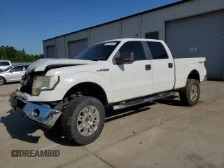 2009 Ford F-150 XL z VIN 1FTPW14V19KC94471, wystawiony jako Copart lot #52875485 z przebiegiem 228 829 mil mil oraz Szkody całkowita. Historia ofert i sprzedaży dostępna na DreamBid. Obrazek 1.