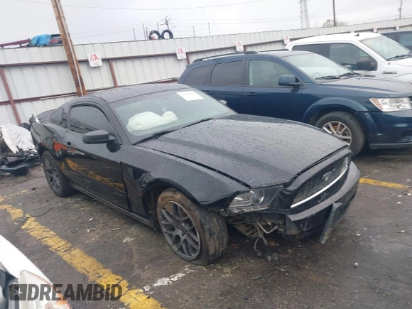 2013 Ford Mustang V6 with VIN 1ZVBP8AM9D5253490, listed as a IAAI auction lot 41856886 with 236,348 mi miles and . Bid and sale history available at DreamBid. Image 1.