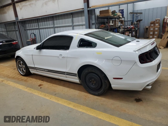 2014 Ford Mustang V6 with VIN 1ZVBP8AM0E5232495, listed as a Copart auction lot 41481245 with 118,917 mi miles and Salvage Title. Bid and sale history available at DreamBid. Image 2.
