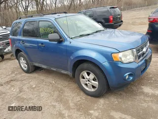 2010 Ford Escape XLT with VIN 1FMCU0DG8AKD28213, listed as a IAAI auction lot 41855334 with 192,063 mi miles. Bid and sale history available at carsss.com. Image 1.