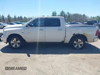 2009 Dodge 1500 SLT with VIN 1D3HV13T49S720877, listed as a IAAI auction lot 42165974 with 206,644 mi miles. Bid and sale history available at carsss.com. Image 6.