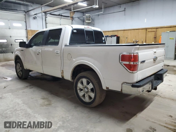 2010 Ford F-150 XL with VIN 1FTFW1EV1AFC96308, listed as a Copart auction lot 61661115 with 226,594 mi miles and Clean title. Bid and sale history available at DreamBid. Image 2.