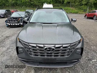 2024 Hyundai Tucson Limited with VIN KM8JECD10RU238877, listed as a Copart auction lot 57978595 with 11,918 mi miles and Salvage title. Bid and sale history available at DreamBid. Image 5.