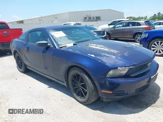 2011 Ford Mustang V6 with VIN 1ZVBP8AM9B5138711, listed as a IAAI auction lot 42460645 with Not provided miles and . Bid and sale history available at DreamBid. Image 1.