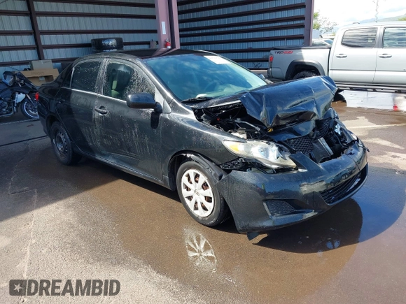 2009 Toyota Corolla with VIN 1NXBU40EX9Z092025, listed as a IAAI auction lot 41529599 with Not Provided miles. Bid and sale history available at carsss.com. Image 1.