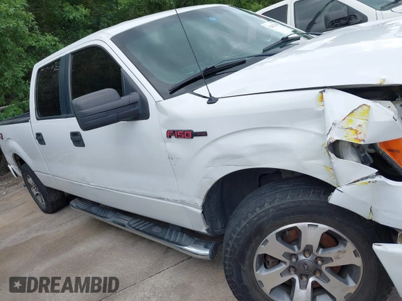 2014 Ford F-150 XL with VIN 1FTFW1CF1EFD12959, listed as a IAAI auction lot 42422218 with 234,818 mi miles and . Bid and sale history available at DreamBid. Image 13.