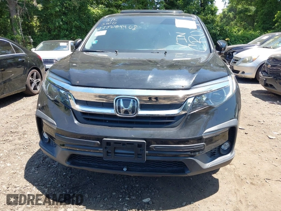 2019 Honda Pilot EX-L with VIN 5FNYF6H52KB006469, listed as a IAAI auction lot 42103135 with 12,757 mi miles and . Bid and sale history available at DreamBid. Image 12.