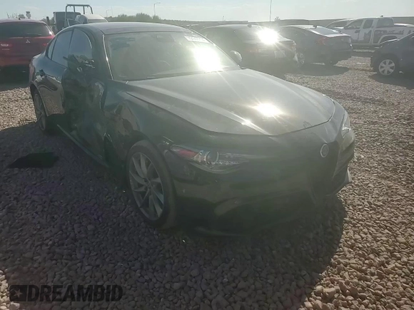 2022 Alfa Romeo Giulia with VIN ZARFAMAN1N7662764, listed as a Copart auction lot 73142704 with Not provided miles and Salvage title. Bid and sale history available at DreamBid. Image 10.