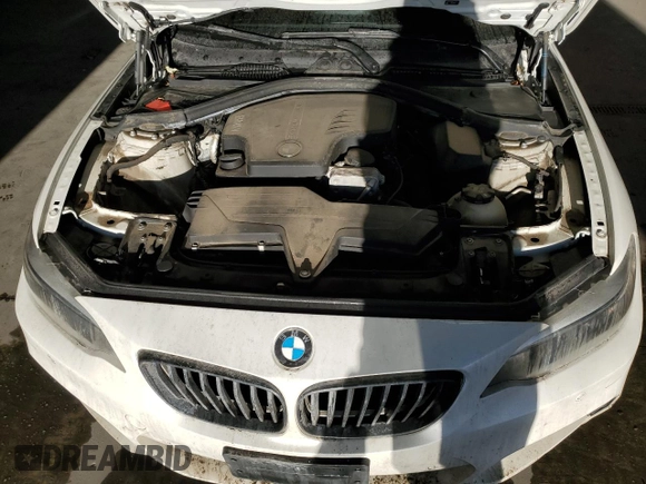 2016 BMW 2 Series 228i xDrive with VIN WBA1G9C59GV726574, listed as a Copart auction lot 44238955 with 95,829 mi miles and Salvage title. Bid and sale history available at DreamBid. Image 11.