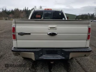 2009 Ford F-150 XL with VIN 1FTPW14V89KC35465, listed as a Copart auction lot 49930615 with 165,726 mi miles and Clean Title. Bid and sale history available at carsss.com. Image 6.