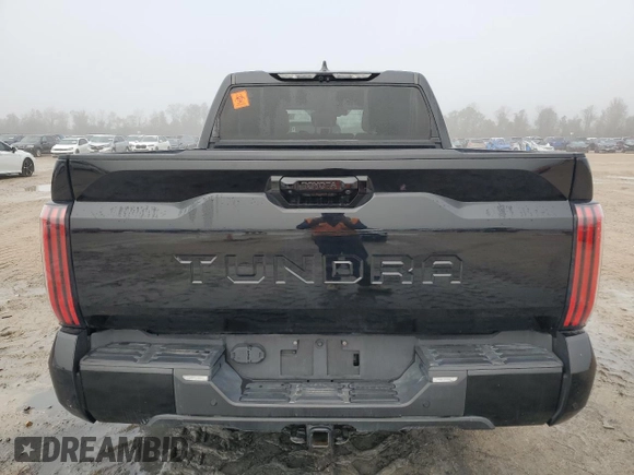 2023 Toyota Tundra 2WD Platinum with VIN 5TFNA5AB5PX026479, listed as a Copart auction lot 83395714 with 13,056 mi miles and Non Repairable. Bid and sale history available at carsss.com. Image 6.