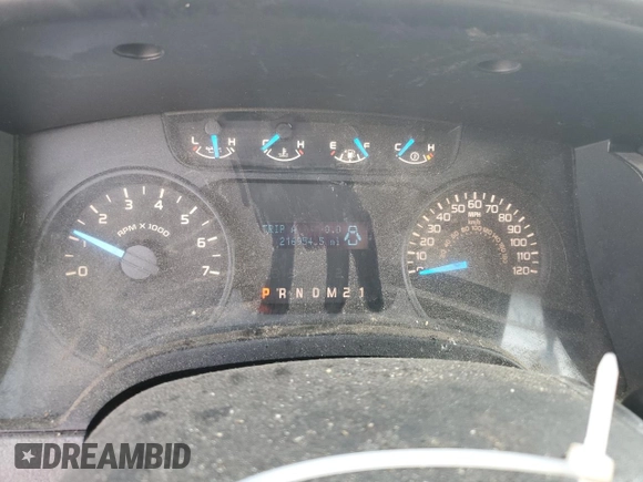 2013 Ford F-150 XL with VIN 1FTMF1EM1DKE13041, listed as a Copart auction lot 60404385 with 216,954 mi miles and Clean title. Bid and sale history available at DreamBid. Image 9.