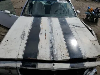 1981 Chevrolet El Camino z VIN 1GCCW80JXBD431816, wystawiony jako Copart lot #46290535 z przebiegiem 22 666 mil mil oraz Szkoda całkowita • Salvage title. Historia ofert i sprzedaży dostępna na DreamBid. Obrazek 12.