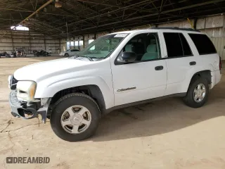 2002 Chevrolet TrailBlazer LS with VIN 1GNDT13S022192689, listed as a Copart auction lot 48826935 with 242,509 mi miles and Salvage Title. Bid and sale history available at carsss.com. Image 1.
