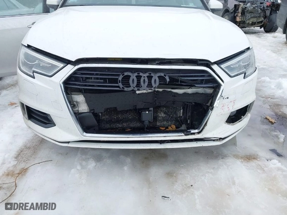 2018 Audi A3 Sedan Premium with VIN WAUB8GFF5J1091118, listed as a IAAI auction lot 41640374 with NaN miles. Bid and sale history available at carsss.com. Image 6.
