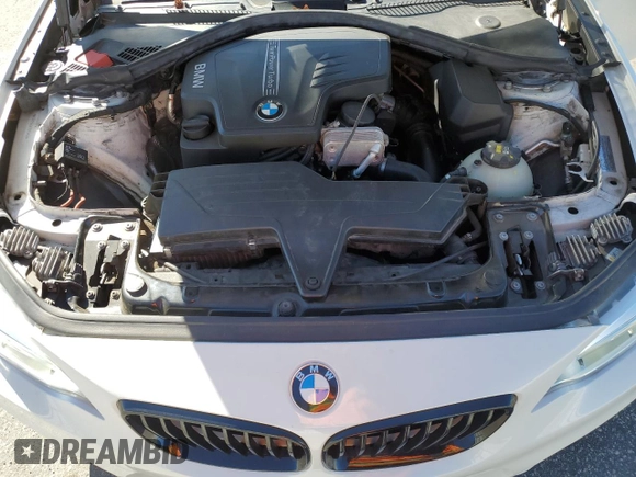 2015 BMW 2 Series 228i with VIN WBA1F5C56FV343489, listed as a Copart auction lot 43432594 with 109,196 mi miles. Bid and sale history available at carsss.com. Image 11.