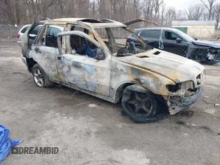 2002 BMW X5 3.0i with VIN 5UXFA53562LP46206, listed as a IAAI auction lot 41743323 with 1 mi miles. Bid and sale history available at carsss.com. Image 1.