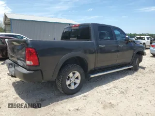 2014 Ram 1500 Big Horn with VIN 1C6RR7LT1ES209326, listed as a Copart auction lot 58132445 with 113,964 mi miles and Salvage title. Bid and sale history available at DreamBid. Image 3.