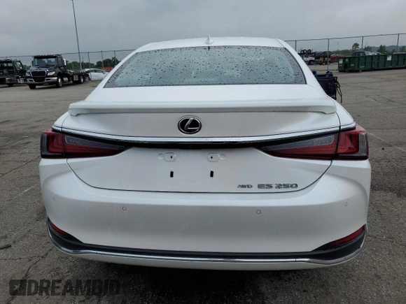 2022 Lexus ES 250 with VIN 58AD11D19NU008822, listed as a Copart auction lot 60647625 with 38,876 mi miles and Salvage title. Bid and sale history available at DreamBid. Image 6.